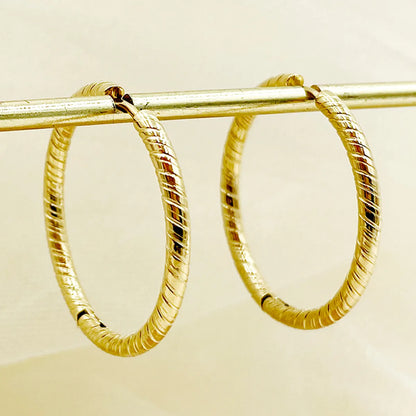 1 Pair Casual Simple Style Solid Color Plating Stainless Steel 14k Gold Plated Hoop Earrings