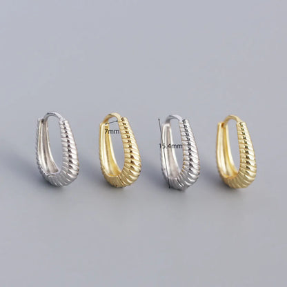 1 Pair Casual Spiral Stripe Sterling Silver Earrings