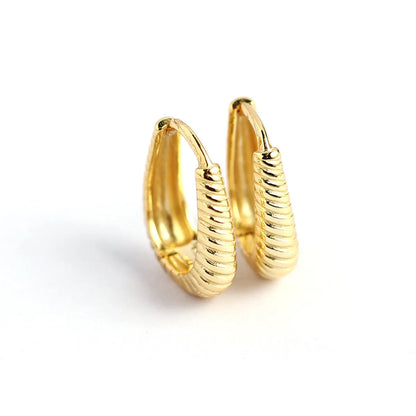 1 Pair Casual Spiral Stripe Sterling Silver Earrings