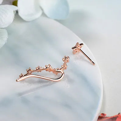 1 Pair Elegant Lady Classic Style Star Inlay Copper Zircon Ear Studs