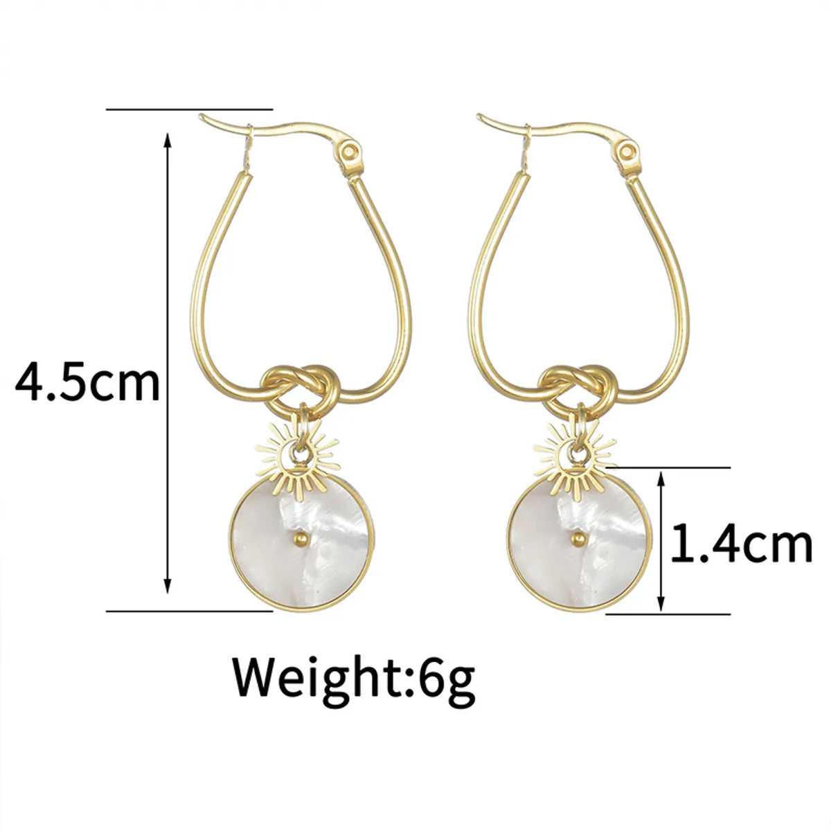 1 Pair Elegant Simple Style Round Plating Stainless Steel 14k Gold Plated Drop Earrings