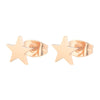 1 Pair Fashion Star Moon Plating 304 Stainless Steel 18K Gold Plated Ear Studs