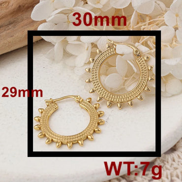 1 Pair Ig Style Round Plating Stainless Steel Earrings