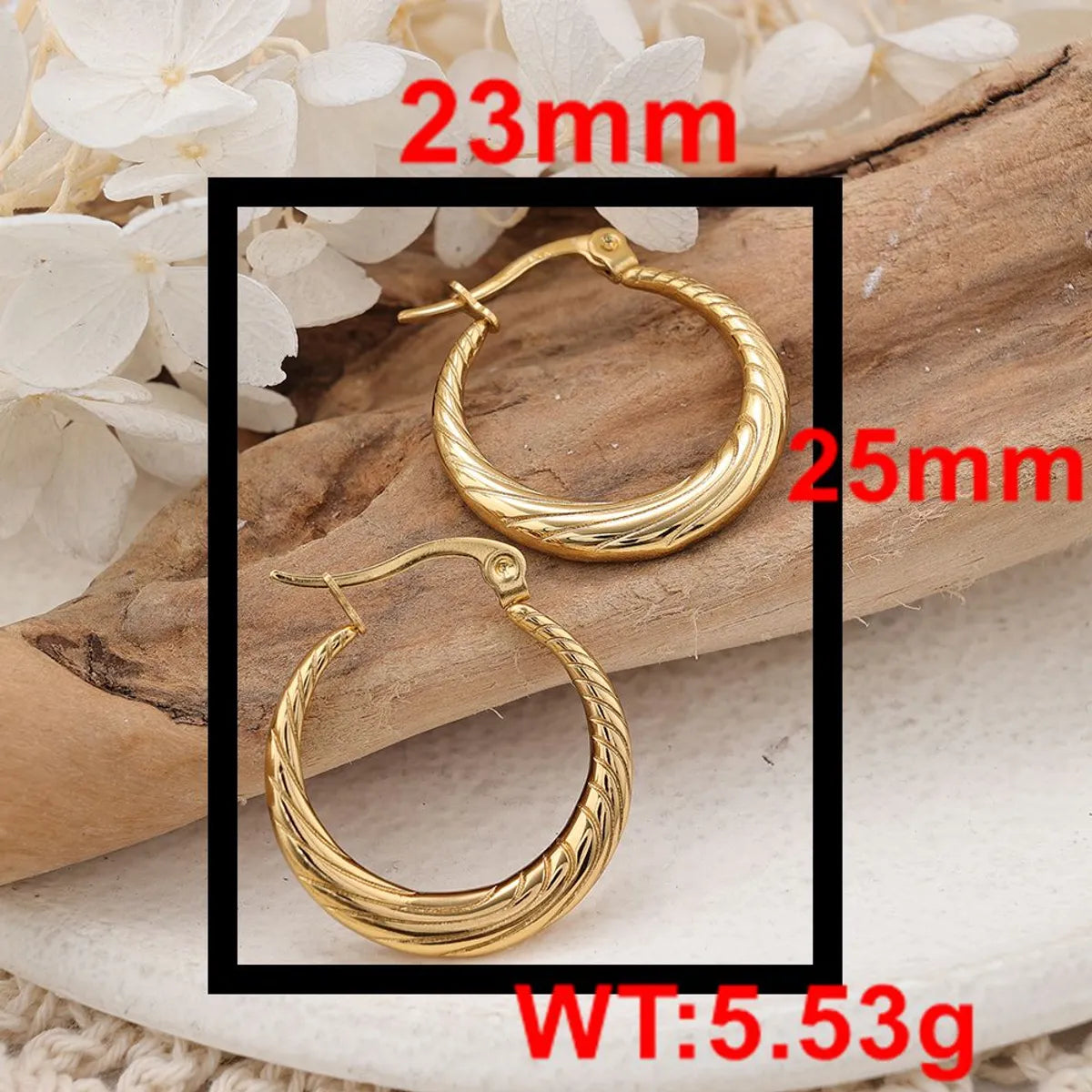 1 Pair IG Style Round Plating Stainless Steel Hoop Earrings