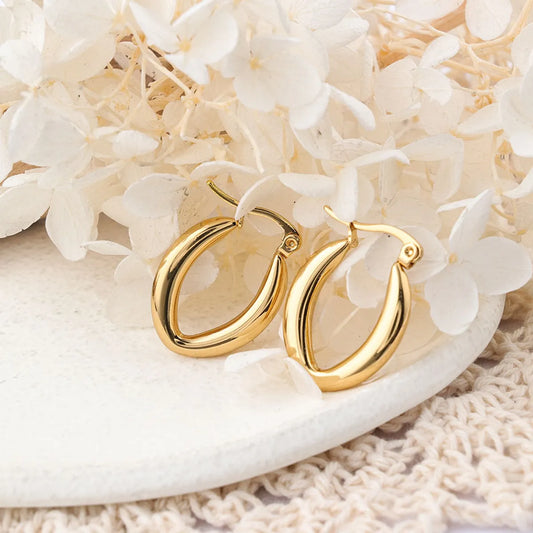 1 Pair Ig Style Semicircle Plating Stainless Steel Hoop Earrings