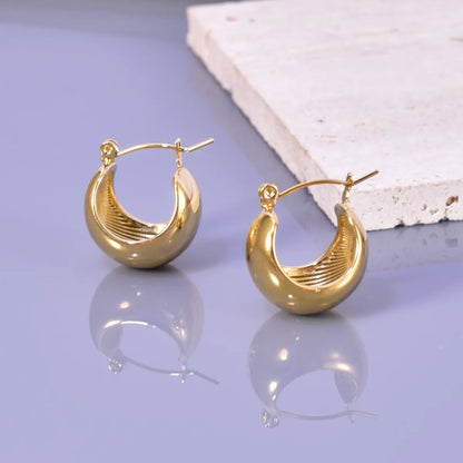 1 Pair Ig Style Simple Style Solid Color Plating Titanium Steel 18k Gold Plated Earrings