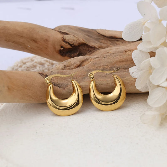 1 Pair Ig Style Solid Color Plating Stainless Steel Earrings