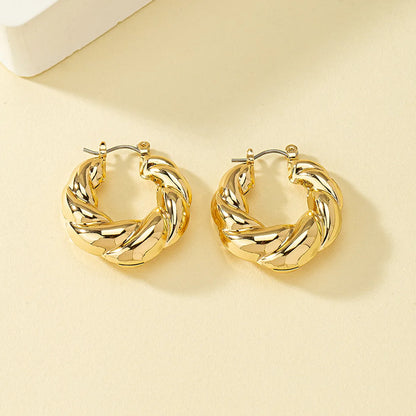 1 Pair Ins Style Circle Alloy Plating Women'S Hoop Earrings