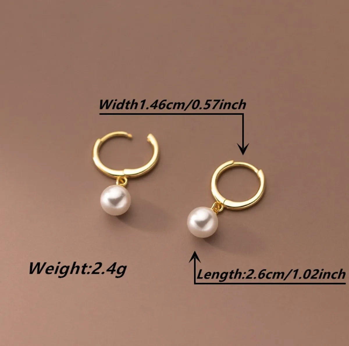 1 Pair Lady Classic Style Round Plating Stainless Steel 18k Gold Plated Drop Earrings