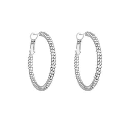 1 Pair Lady Solid Color Plating Titanium Steel Hoop Earrings