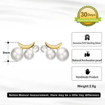 1 Pair Modern Style Simple Style Geometric Polishing Plating Sterling Silver 14k Gold Plated Ear Studs