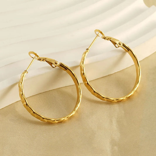 1 Pair Modern Style Simple Style Solid Color Plating Stainless Steel 18k Gold Plated Hoop Earrings