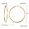 1 Pair Simple Style Circle Plating 304 Stainless Steel Earrings