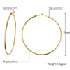 1 Pair Simple Style Circle Plating 304 Stainless Steel Earrings