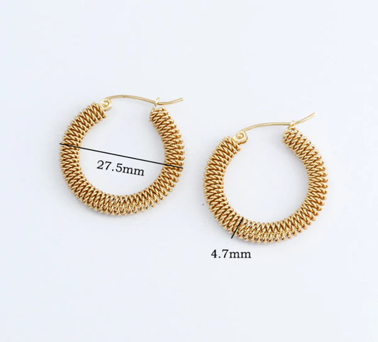 1 Pair Simple Style Classic Style Oval Plating Titanium Steel 18k Gold Plated Earrings