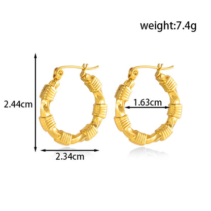 1 Pair Simple Style Classic Style Solid Color 304 Stainless Steel Earrings