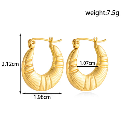 1 Pair Simple Style Classic Style Solid Color 304 Stainless Steel Earrings