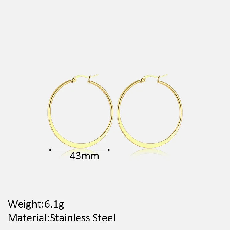 1 Pair Simple Style Classic Style Solid Color Plating 304 Stainless Steel Hoop Earrings