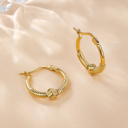 1 Pair Simple Style Classic Style Solid Color Plating Titanium Steel 18k Gold Plated Hoop Earrings