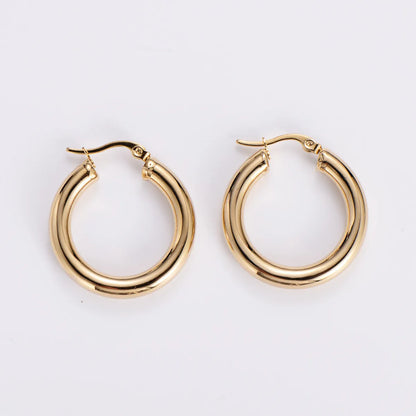 1 Pair Simple Style Commute Circle Plating 304 Stainless Steel 18K Gold Plated Earrings