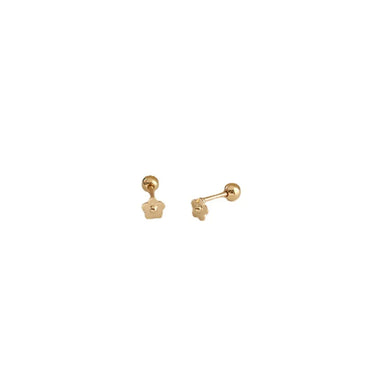 1 Pair Simple Style Flower Plating Sterling Silver Ear Studs