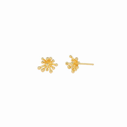 1 Pair Simple Style Flower Sterling Silver Plating White Gold Plated Gold Plated Ear Studs