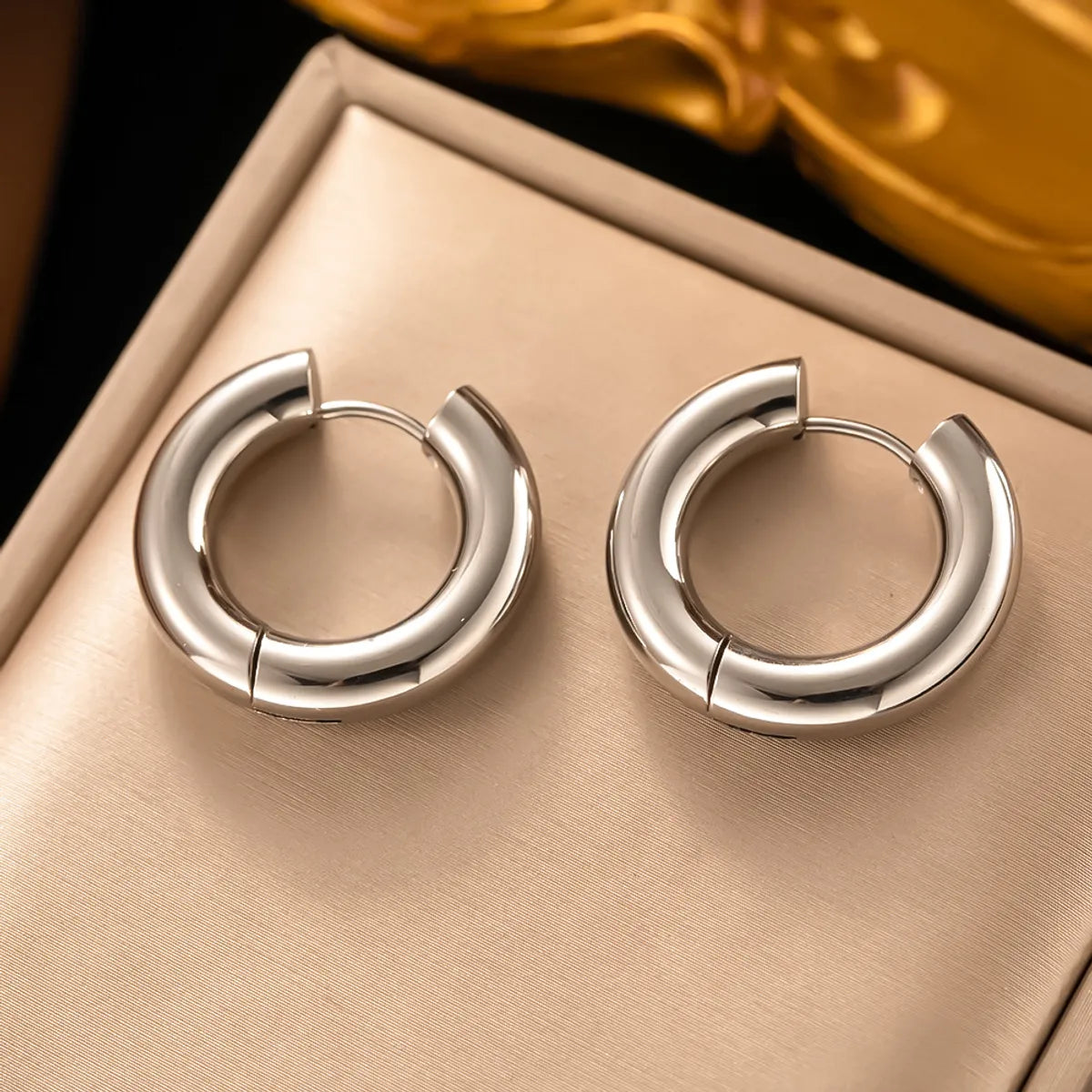 1 Pair Simple Style Round Plating Titanium Steel Earrings