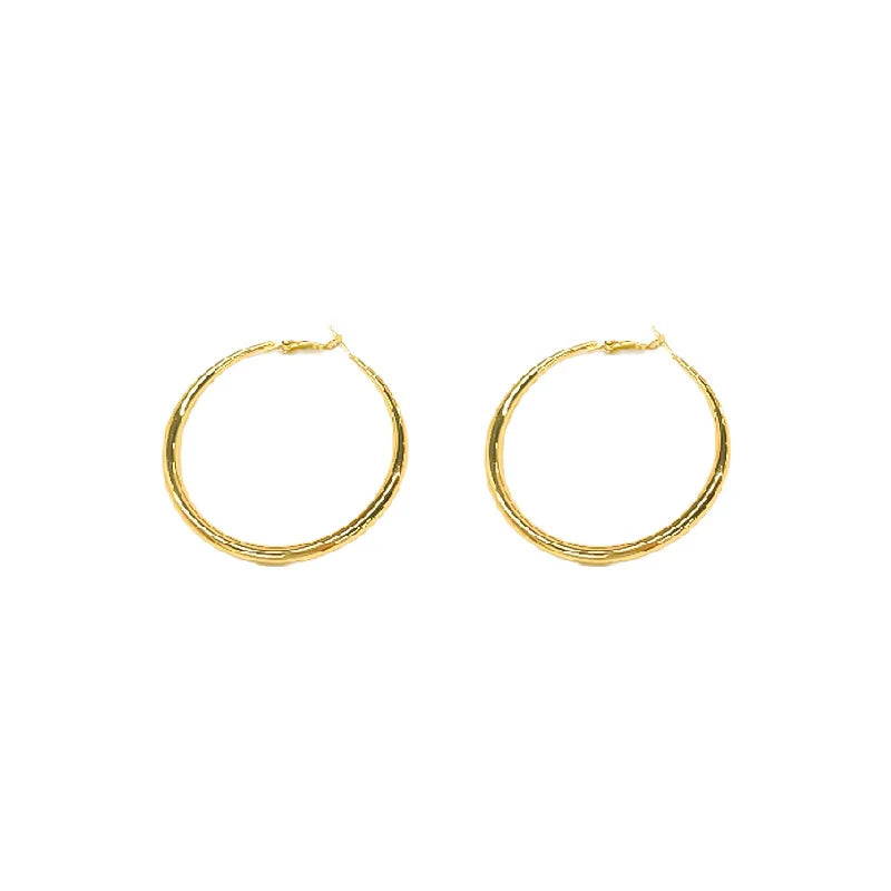 1 Pair Simple Style Solid Color Plating Iron Earrings