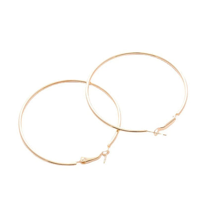 1 Pair Simple Style Solid Color Stainless Steel Hoop Earrings