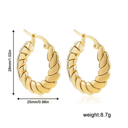 1 Pair Vintage Style Twist Alloy Earrings