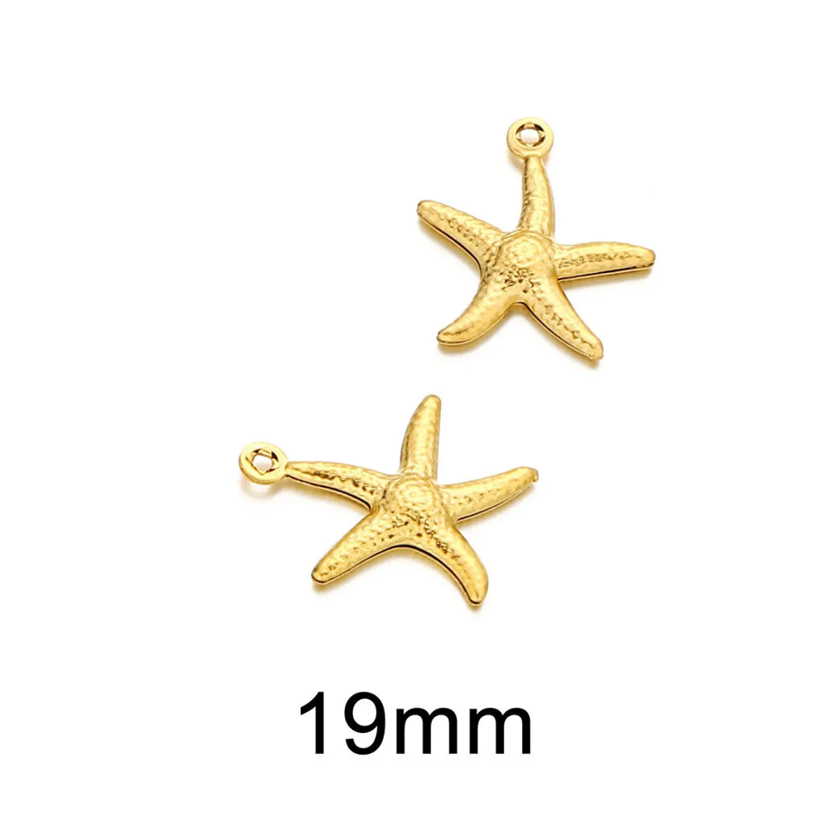 1 Piece 12mm 19mm 304 Stainless Steel Scallop Starfish Pendant