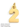 1 Piece 316 Stainless Steel  14K Gold Plated Number Pendant