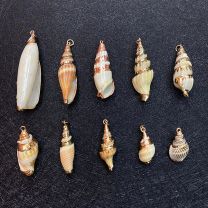 1 Piece Shell Conch Pendant