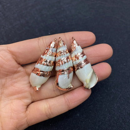 1 Piece Shell Conch Pendant