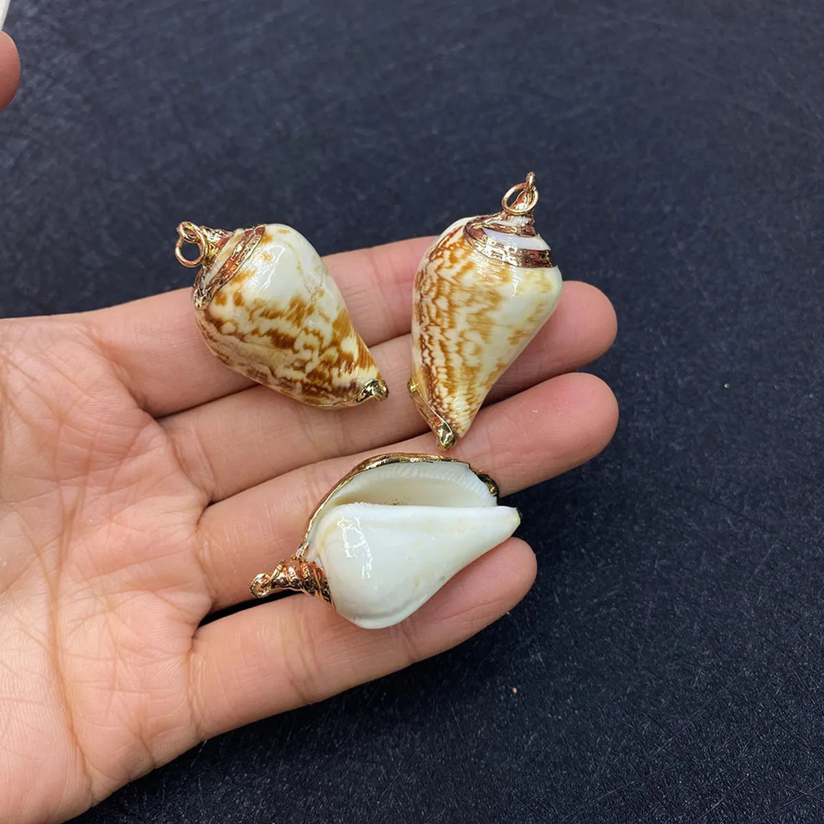 1 Piece Shell Conch Pendant