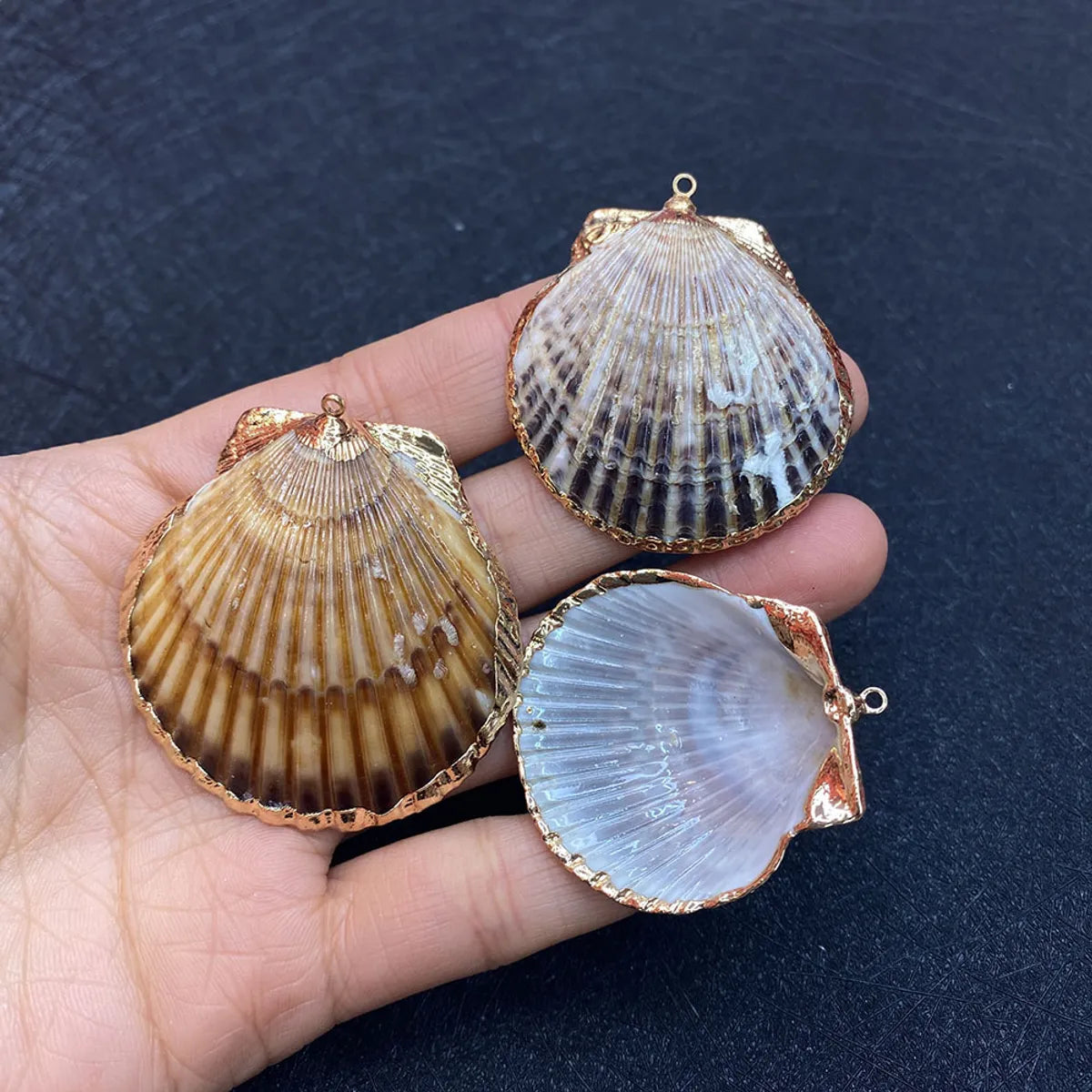 1 Piece Shell Conch Pendant