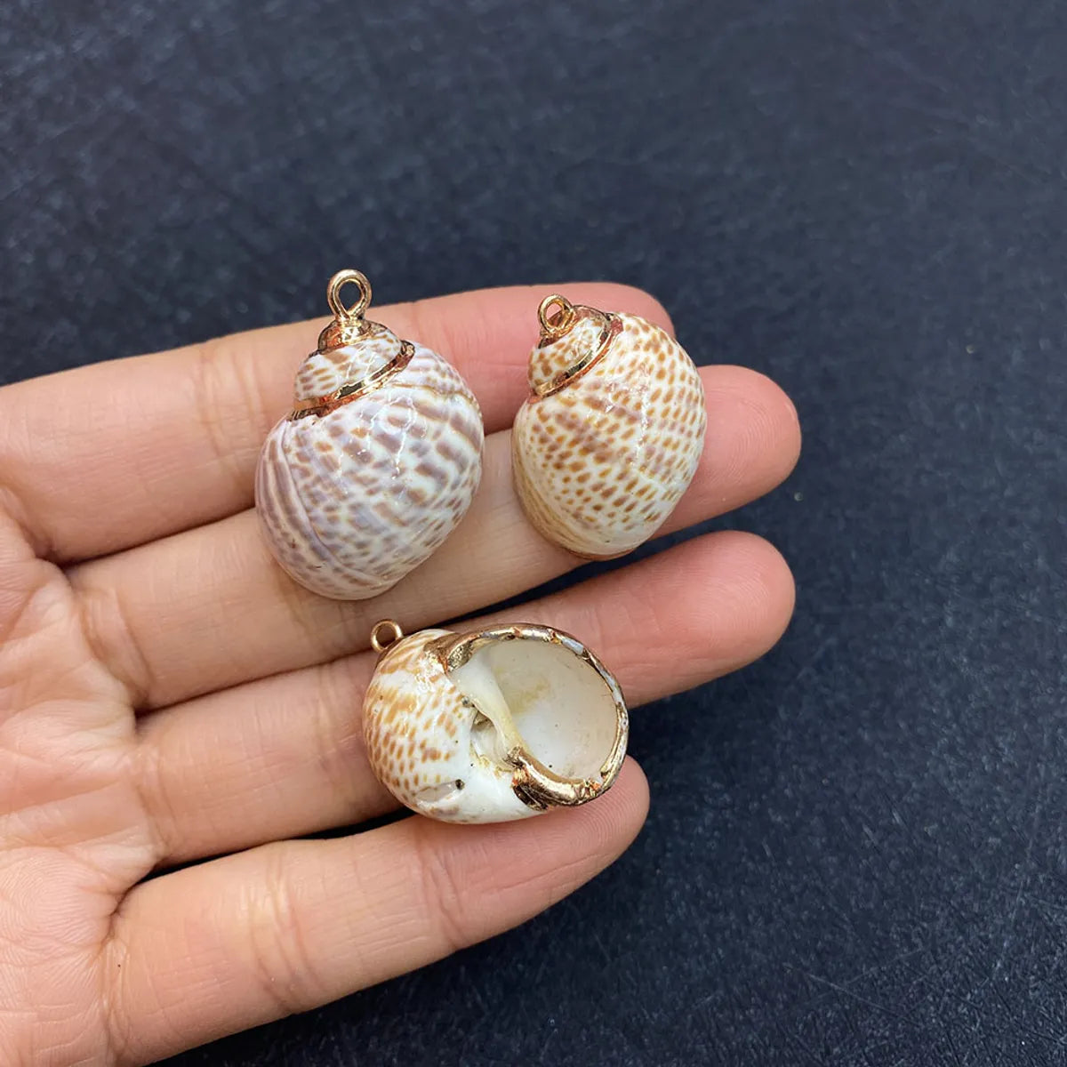 1 Piece Shell Conch Pendant