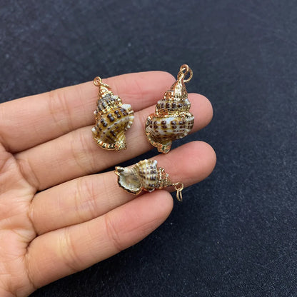 1 Piece Shell Conch Pendant