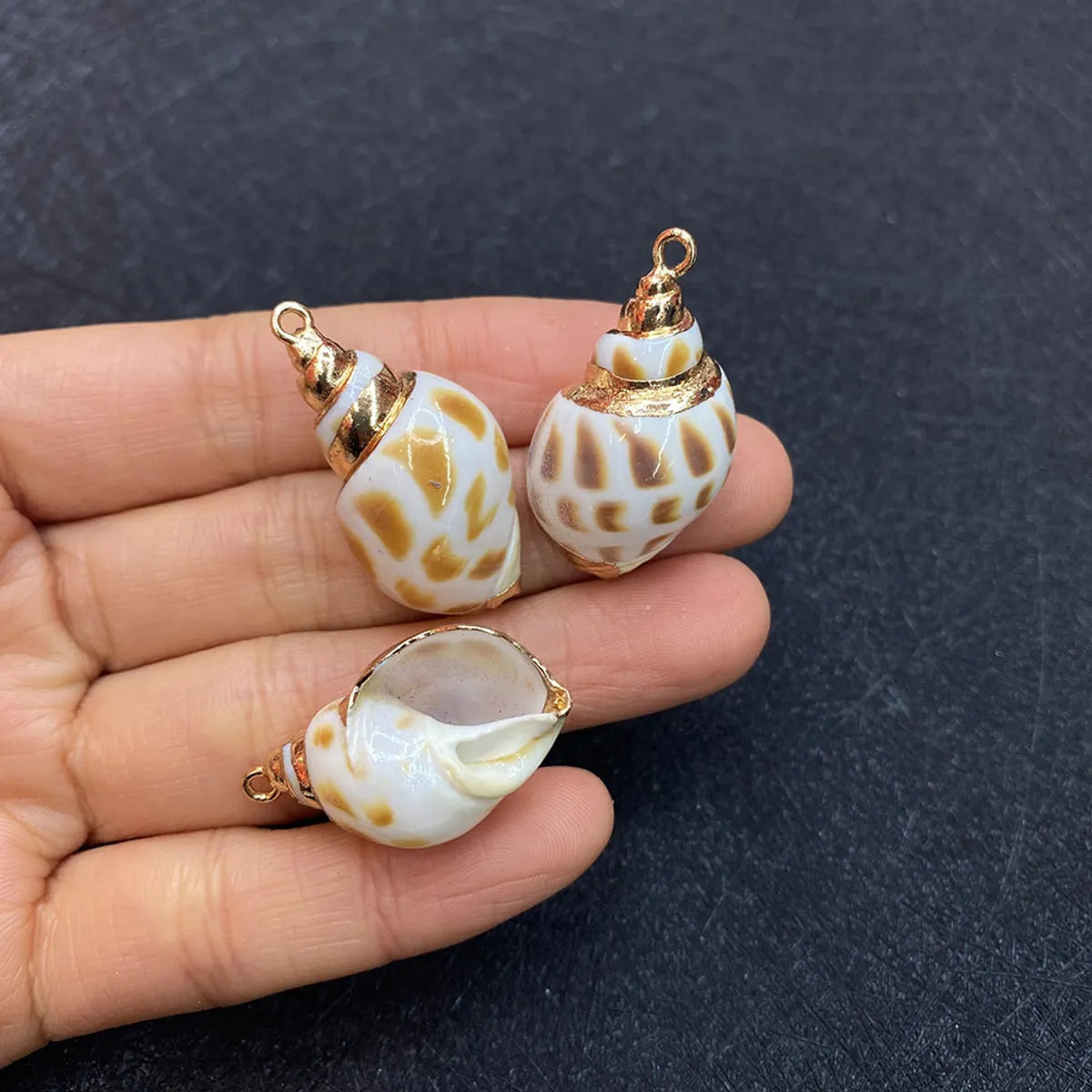 1 Piece Shell Conch Pendant