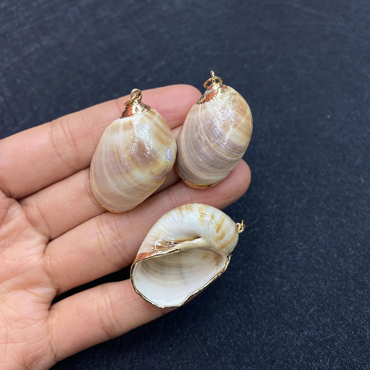 1 Piece Shell Conch Pendant