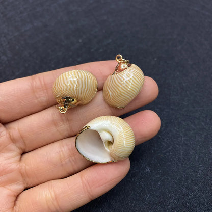 1 Piece Shell Conch Pendant