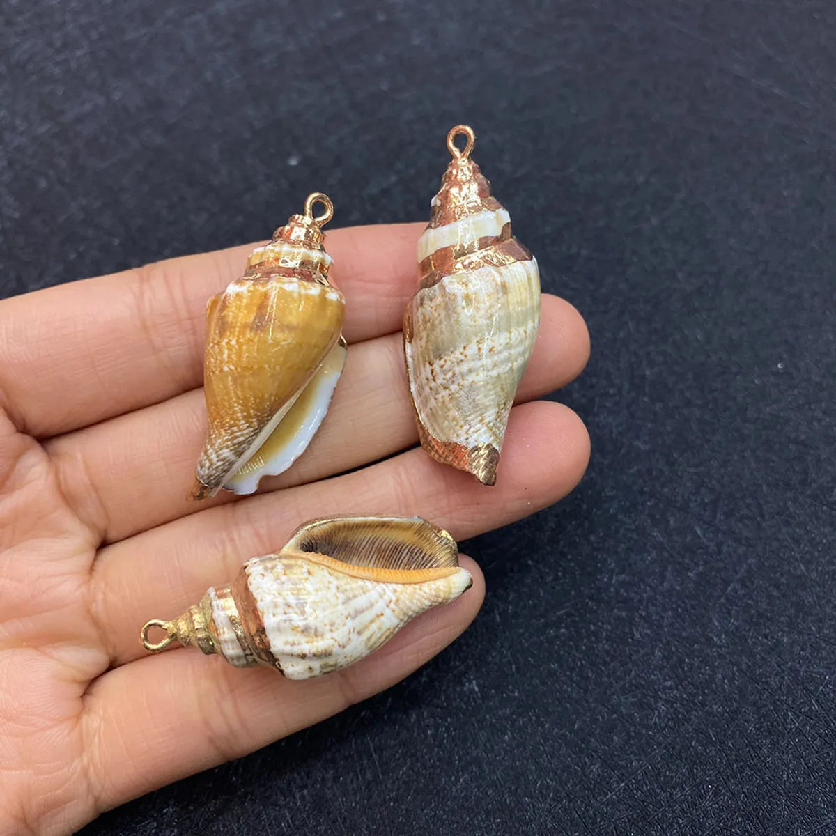 1 Piece Shell Conch Pendant