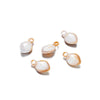 10 PCS/Package Arylic Conch Pendant