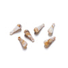 10 PCS/Package Arylic Conch Pendant