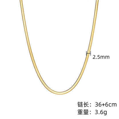 Flat Snake Bone Titanium Steel Clavicle Chain Trendy Blade Necklace