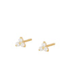 Women's Fashion Geometric Copper Earrings Gold Plated Inlaid Zircon Zircon Copper Earrings