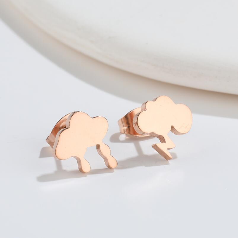 Simple Style Animal Titanium Steel Ear Studs Plating No Inlaid Stainless Steel Earrings