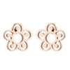 Simple Style Plant Stainless Steel Plating Ear Studs 1 Pair