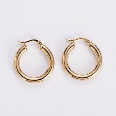 Simple Style Geometric Stainless Steel Plating Earrings 1 Pair