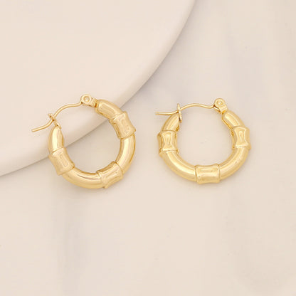 Fashion Round Stainless Steel Plating Earrings 1 Pair